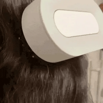 Self-Cleaning Hair Brush